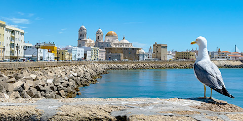 Guía de Costa de la Luz